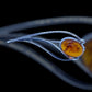 Amber Lily